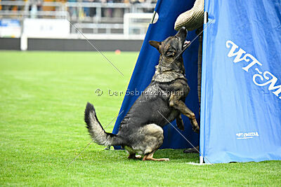 Tika van Arne`s Hoeve